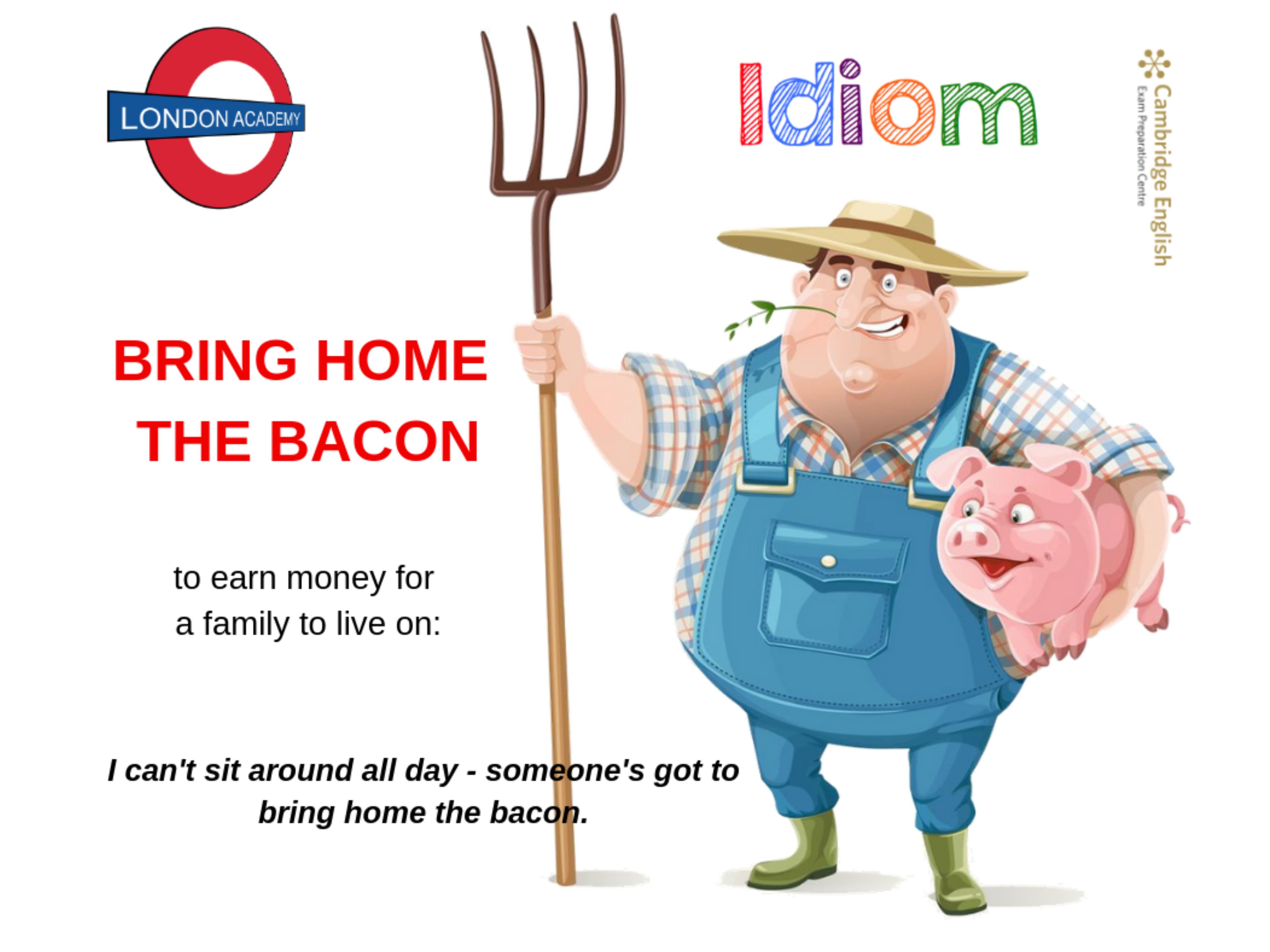 Bacon перевод. Bring Home the Bacon. Bring Home the Bacon идиома. To bring the Bacon идиома. Идиомы с bring.